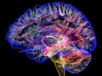 骚15p大脑植入物有助于严重头部损伤恢复